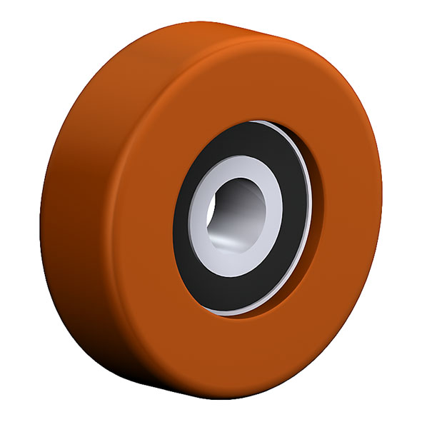  Guide Roller 25x10 WUDPK 6