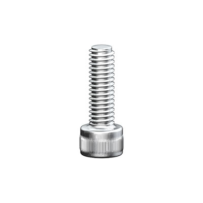 Inbus Fixing Bolt STAINLESS STEEL M10x30 mm